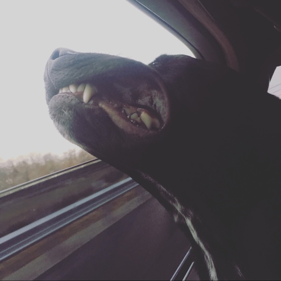 Smile- you’re shopping! Bonus “bargain hunting” - Picture 10 of 15